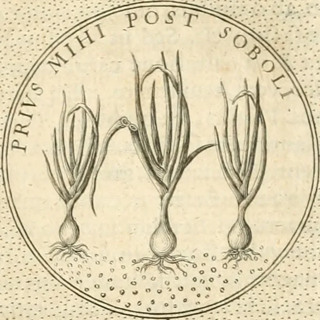 An illustration from Symbola diuina & humana pontificvm, imperatorvm, regvm : accessit breuis & facilis isagoge Iac. Typotii : ex mvsaeo Octavii de Strada civis Romani : tomus primus[-tertius], 1601, leaf 278