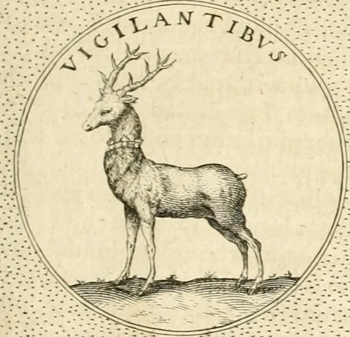 An illustration from Symbola diuina & humana pontificvm, imperatorvm, regvm : accessit breuis & facilis isagoge Iac. Typotii : ex mvsaeo Octavii de Strada civis Romani : tomus primus[-tertius], 1601, leaf 282