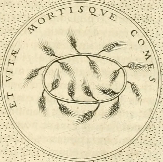An illustration from Symbola diuina & humana pontificvm, imperatorvm, regvm : accessit breuis & facilis isagoge Iac. Typotii : ex mvsaeo Octavii de Strada civis Romani : tomus primus[-tertius], 1601, leaf 282