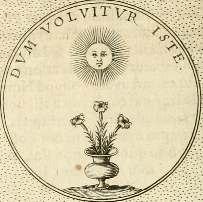 An illustration from Symbola diuina & humana pontificvm, imperatorvm, regvm : accessit breuis & facilis isagoge Iac. Typotii : ex mvsaeo Octavii de Strada civis Romani : tomus primus[-tertius], 1601, leaf 291