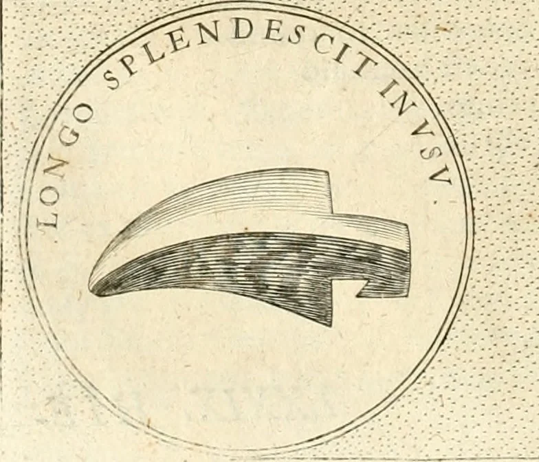 An illustration from Symbola diuina & humana pontificvm, imperatorvm, regvm : accessit breuis & facilis isagoge Iac. Typotii : ex mvsaeo Octavii de Strada civis Romani : tomus primus[-tertius], 1601, leaf 297