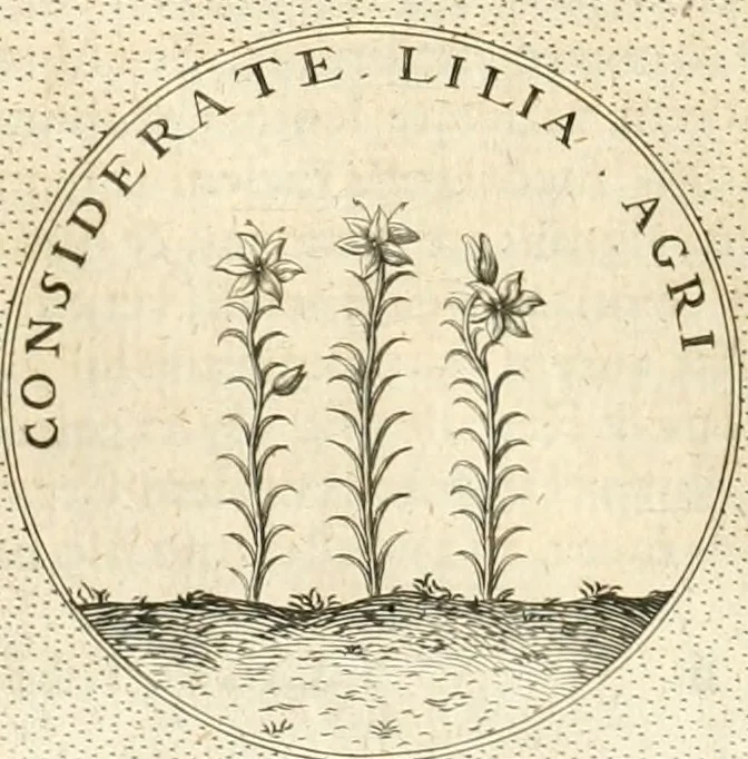An illustration from Symbola diuina & humana pontificvm, imperatorvm, regvm : accessit breuis & facilis isagoge Iac. Typotii : ex mvsaeo Octavii de Strada civis Romani : tomus primus[-tertius], 1601, leaf 301