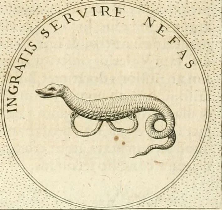 An illustration from Symbola diuina & humana pontificvm, imperatorvm, regvm : accessit breuis & facilis isagoge Iac. Typotii : ex mvsaeo Octavii de Strada civis Romani : tomus primus[-tertius], 1601, leaf 301