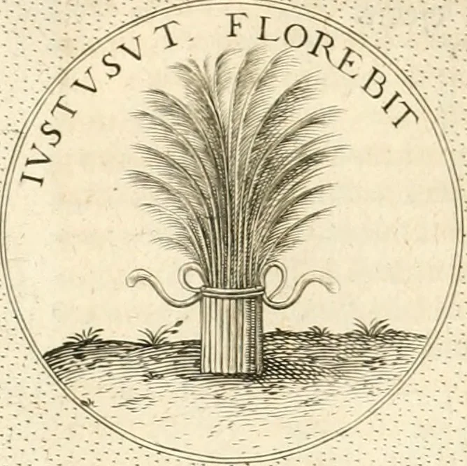 An illustration from Symbola diuina & humana pontificvm, imperatorvm, regvm : accessit breuis & facilis isagoge Iac. Typotii : ex mvsaeo Octavii de Strada civis Romani : tomus primus[-tertius], 1601, leaf 307