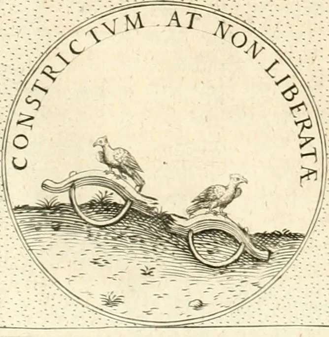An illustration from Symbola diuina & humana pontificvm, imperatorvm, regvm : accessit breuis & facilis isagoge Iac. Typotii : ex mvsaeo Octavii de Strada civis Romani : tomus primus[-tertius], 1601, leaf 307