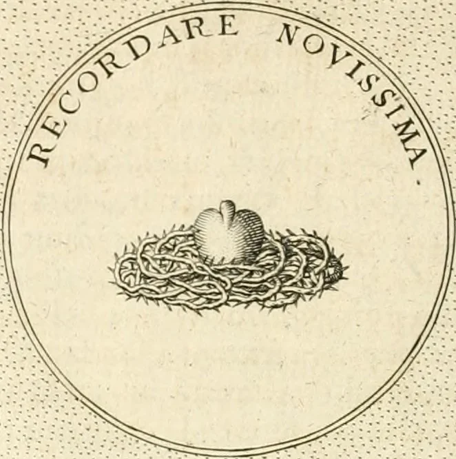 An illustration from Symbola diuina & humana pontificvm, imperatorvm, regvm : accessit breuis & facilis isagoge Iac. Typotii : ex mvsaeo Octavii de Strada civis Romani : tomus primus[-tertius], 1601, leaf 315