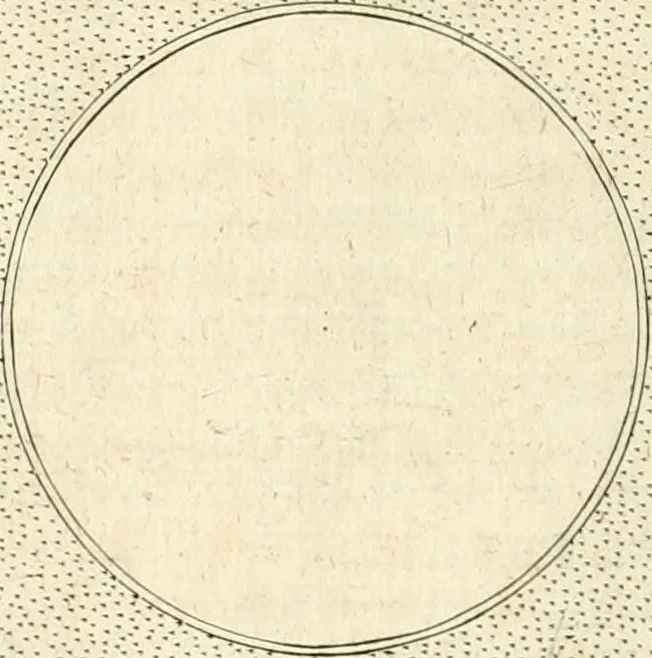 An illustration from Symbola diuina & humana pontificvm, imperatorvm, regvm : accessit breuis & facilis isagoge Iac. Typotii : ex mvsaeo Octavii de Strada civis Romani : tomus primus[-tertius], 1601, leaf 343