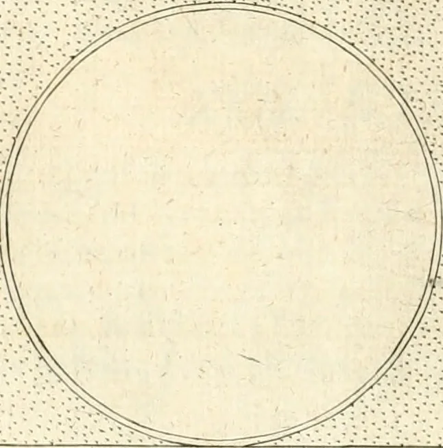 An illustration from Symbola diuina & humana pontificvm, imperatorvm, regvm : accessit breuis & facilis isagoge Iac. Typotii : ex mvsaeo Octavii de Strada civis Romani : tomus primus[-tertius], 1601, leaf 343