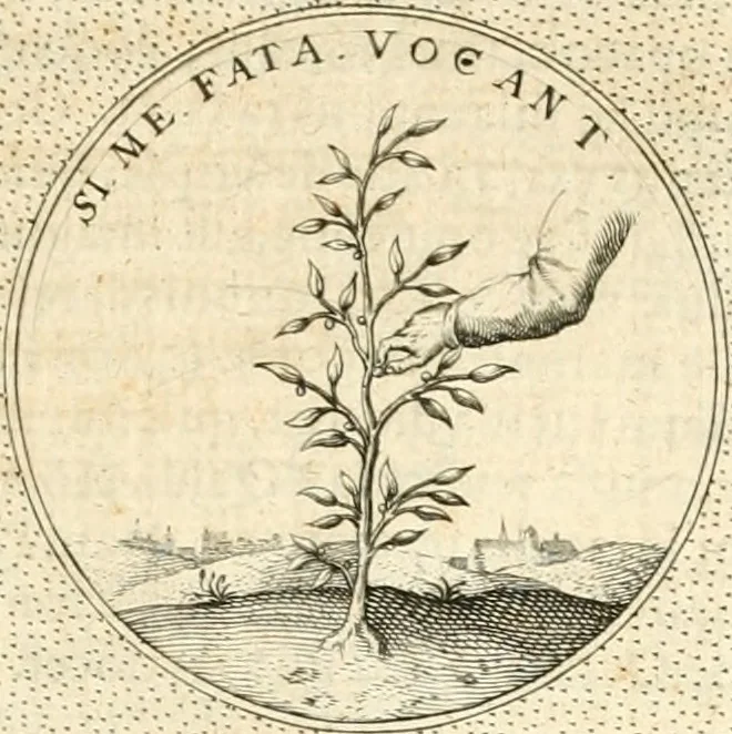 An illustration from Symbola diuina & humana pontificvm, imperatorvm, regvm : accessit breuis & facilis isagoge Iac. Typotii : ex mvsaeo Octavii de Strada civis Romani : tomus primus[-tertius], 1601, leaf 372