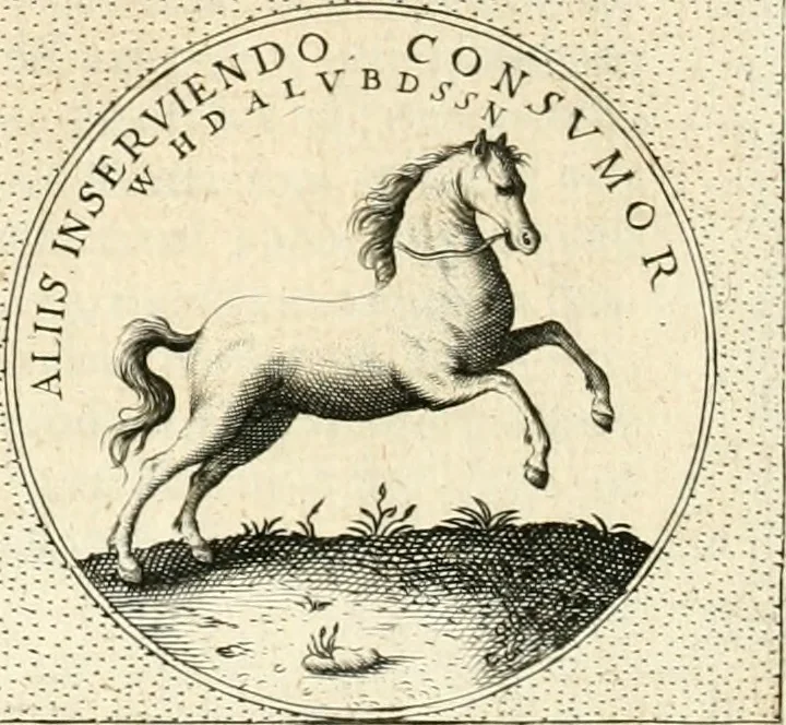 An illustration from Symbola diuina & humana pontificvm, imperatorvm, regvm : accessit breuis & facilis isagoge Iac. Typotii : ex mvsaeo Octavii de Strada civis Romani : tomus primus[-tertius], 1601, leaf 377