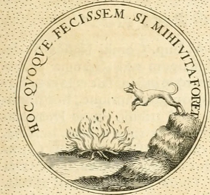 An illustration from Symbola diuina & humana pontificvm, imperatorvm, regvm : accessit breuis & facilis isagoge Iac. Typotii : ex mvsaeo Octavii de Strada civis Romani : tomus primus[-tertius], 1601, leaf 396
