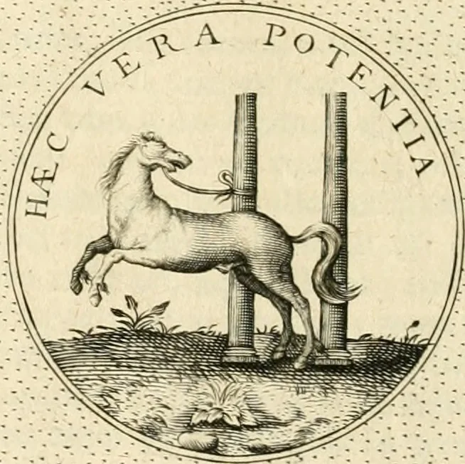 An illustration from Symbola diuina & humana pontificvm, imperatorvm, regvm : accessit breuis & facilis isagoge Iac. Typotii : ex mvsaeo Octavii de Strada civis Romani : tomus primus[-tertius], 1601, leaf 409
