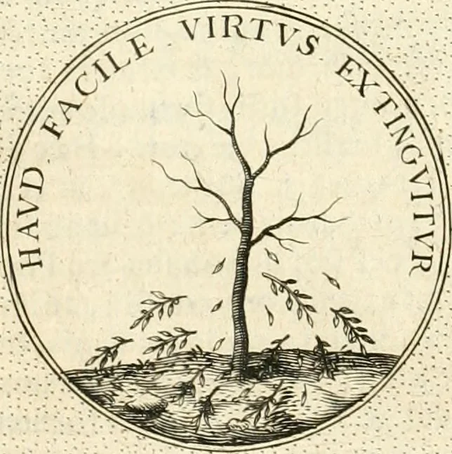 An illustration from Symbola diuina & humana pontificvm, imperatorvm, regvm : accessit breuis & facilis isagoge Iac. Typotii : ex mvsaeo Octavii de Strada civis Romani : tomus primus[-tertius], 1601, leaf 417