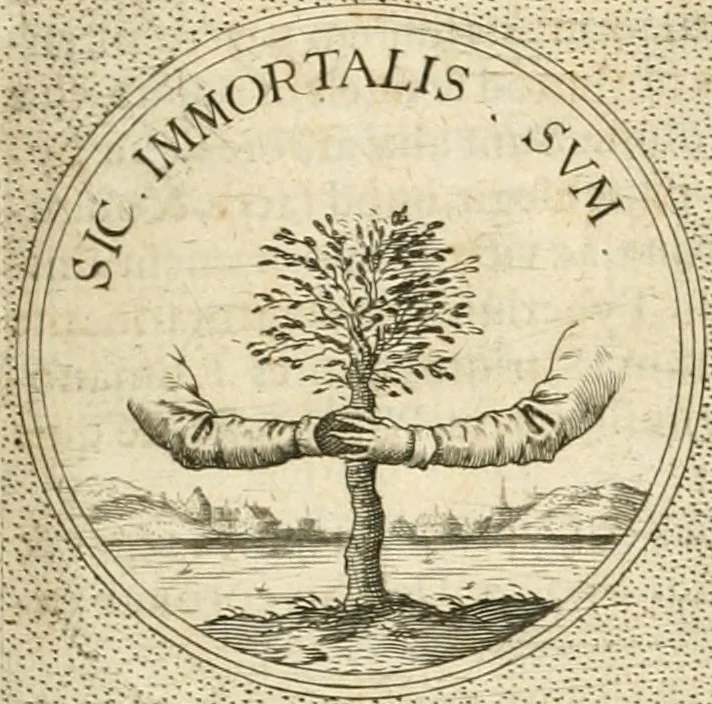 An illustration from Symbola diuina & humana pontificvm, imperatorvm, regvm : accessit breuis & facilis isagoge Iac. Typotii : ex mvsaeo Octavii de Strada civis Romani : tomus primus[-tertius], 1601, leaf 438