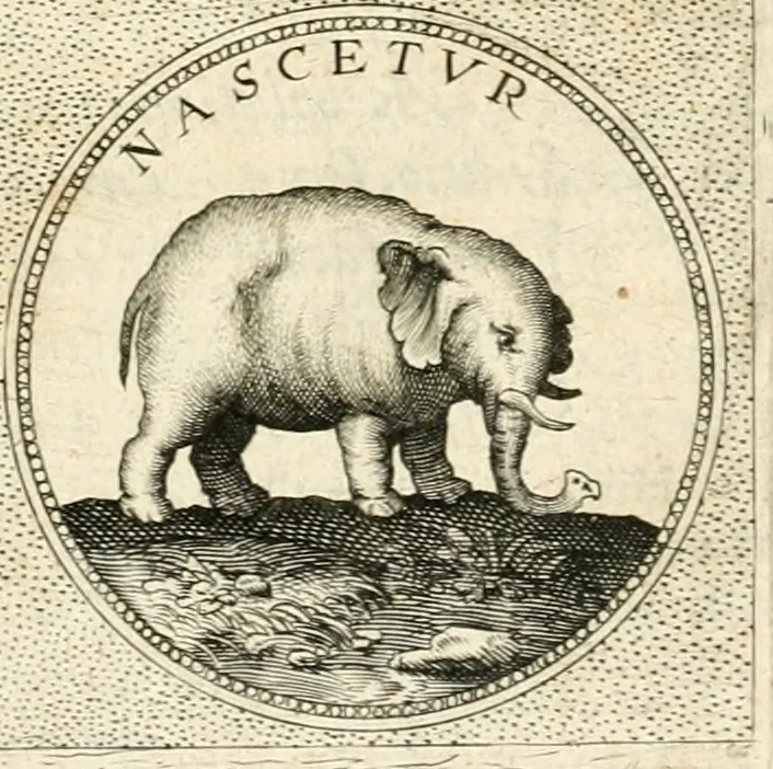 An illustration from Symbola diuina & humana pontificvm, imperatorvm, regvm : accessit breuis & facilis isagoge Iac. Typotii : ex mvsaeo Octavii de Strada civis Romani : tomus primus[-tertius], 1601, leaf 442
