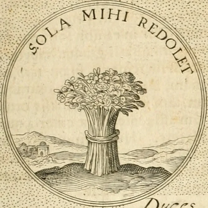 An illustration from Symbola diuina & humana pontificvm, imperatorvm, regvm : accessit breuis & facilis isagoge Iac. Typotii : ex mvsaeo Octavii de Strada civis Romani : tomus primus[-tertius], 1601, leaf 454