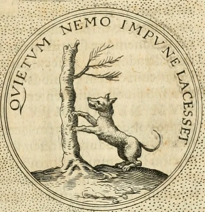 An illustration from Symbola diuina & humana pontificvm, imperatorvm, regvm : accessit breuis & facilis isagoge Iac. Typotii : ex mvsaeo Octavii de Strada civis Romani : tomus primus[-tertius], 1601, leaf 458