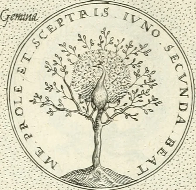 An illustration from Symbola diuina & humana pontificvm, imperatorvm, regvm : accessit breuis & facilis isagoge Iac. Typotii : ex mvsaeo Octavii de Strada civis Romani : tomus primus[-tertius], 1601, leaf 48