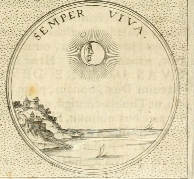 An illustration from Symbola diuina & humana pontificvm, imperatorvm, regvm : accessit breuis & facilis isagoge Iac. Typotii : ex mvsaeo Octavii de Strada civis Romani : tomus primus[-tertius], 1601, leaf 512