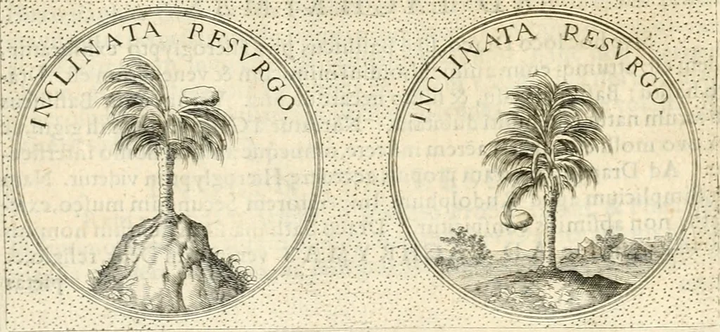 An illustration from Symbola diuina & humana pontificvm, imperatorvm, regvm : accessit breuis & facilis isagoge Iac. Typotii : ex mvsaeo Octavii de Strada civis Romani : tomus primus[-tertius], 1601, leaf 528