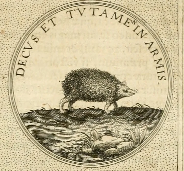 An illustration from Symbola diuina & humana pontificvm, imperatorvm, regvm : accessit breuis & facilis isagoge Iac. Typotii : ex mvsaeo Octavii de Strada civis Romani : tomus primus[-tertius], 1601, leaf 532