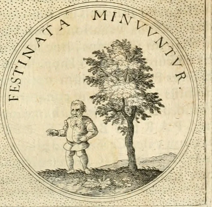 An illustration from Symbola diuina & humana pontificvm, imperatorvm, regvm : accessit breuis & facilis isagoge Iac. Typotii : ex mvsaeo Octavii de Strada civis Romani : tomus primus[-tertius], 1601, leaf 536