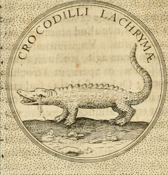 An illustration from Symbola diuina & humana pontificvm, imperatorvm, regvm : accessit breuis & facilis isagoge Iac. Typotii : ex mvsaeo Octavii de Strada civis Romani : tomus primus[-tertius], 1601, leaf 544