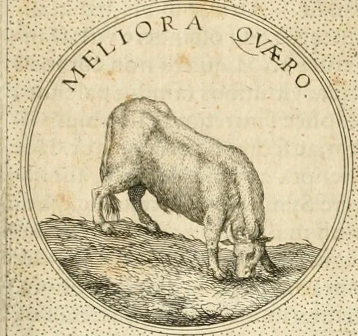 An illustration from Symbola diuina & humana pontificvm, imperatorvm, regvm : accessit breuis & facilis isagoge Iac. Typotii : ex mvsaeo Octavii de Strada civis Romani : tomus primus[-tertius], 1601, leaf 552
