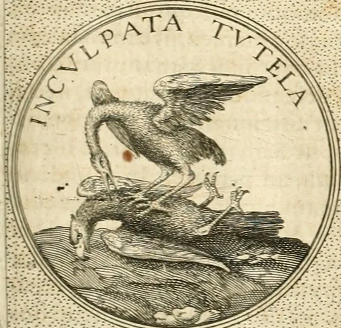 An illustration from Symbola diuina & humana pontificvm, imperatorvm, regvm : accessit breuis & facilis isagoge Iac. Typotii : ex mvsaeo Octavii de Strada civis Romani : tomus primus[-tertius], 1601, leaf 556
