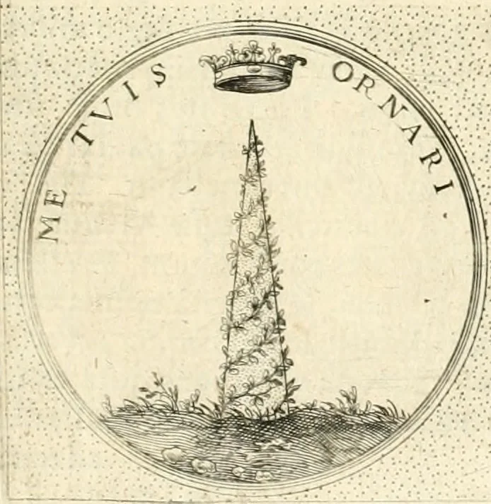 An illustration from Symbola diuina & humana pontificvm, imperatorvm, regvm : accessit breuis & facilis isagoge Iac. Typotii : ex mvsaeo Octavii de Strada civis Romani : tomus primus[-tertius], 1601, leaf 560