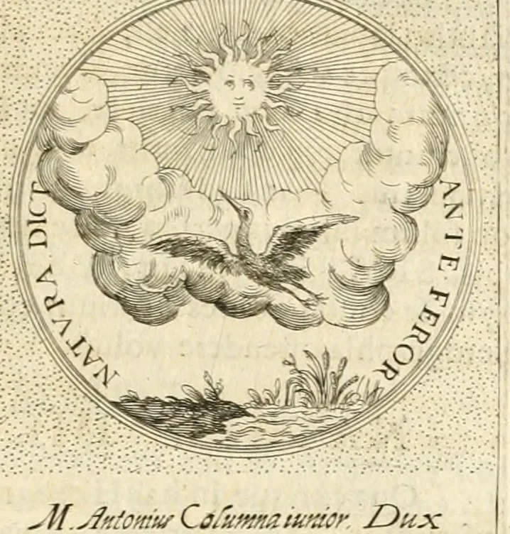 An illustration from Symbola diuina & humana pontificvm, imperatorvm, regvm : accessit breuis & facilis isagoge Iac. Typotii : ex mvsaeo Octavii de Strada civis Romani : tomus primus[-tertius], 1601, leaf 564