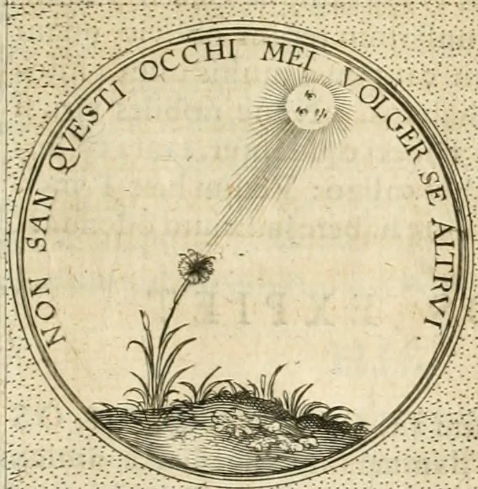 An illustration from Symbola diuina & humana pontificvm, imperatorvm, regvm : accessit breuis & facilis isagoge Iac. Typotii : ex mvsaeo Octavii de Strada civis Romani : tomus primus[-tertius], 1601, leaf 576