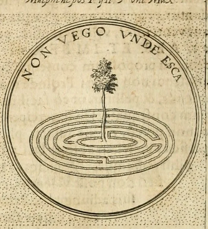 An illustration from Symbola diuina & humana pontificvm, imperatorvm, regvm : accessit breuis & facilis isagoge Iac. Typotii : ex mvsaeo Octavii de Strada civis Romani : tomus primus[-tertius], 1601, leaf 581