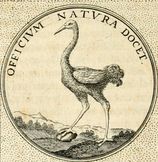 An illustration from Symbola diuina & humana pontificvm, imperatorvm, regvm : accessit breuis & facilis isagoge Iac. Typotii : ex mvsaeo Octavii de Strada civis Romani : tomus primus[-tertius], 1601, leaf 591