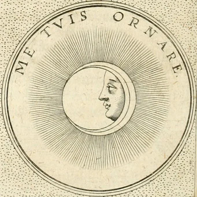 An illustration from Symbola diuina & humana pontificvm, imperatorvm, regvm : accessit breuis & facilis isagoge Iac. Typotii : ex mvsaeo Octavii de Strada civis Romani : tomus primus[-tertius], 1601, leaf 617