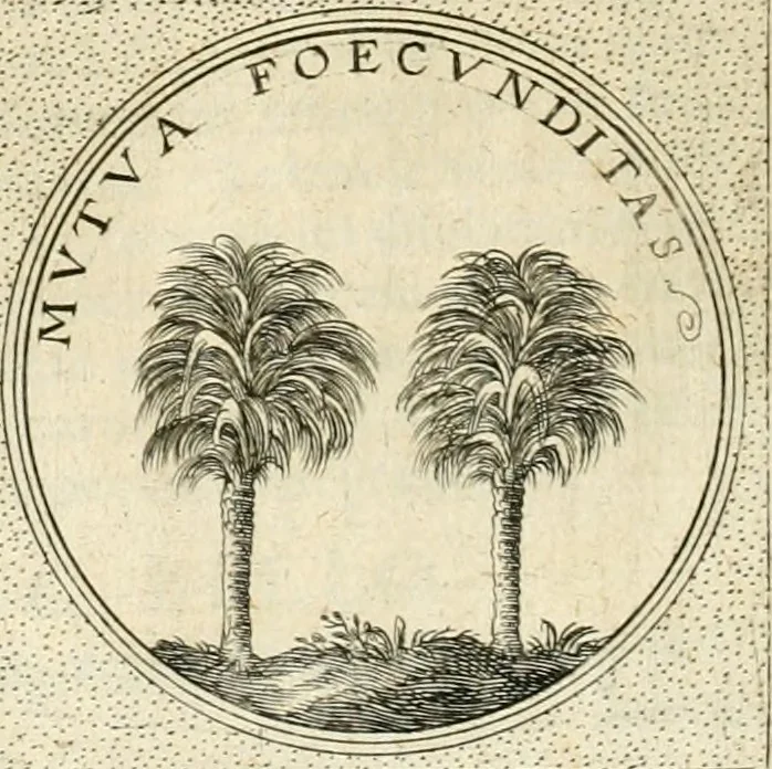 An illustration from Symbola diuina & humana pontificvm, imperatorvm, regvm : accessit breuis & facilis isagoge Iac. Typotii : ex mvsaeo Octavii de Strada civis Romani : tomus primus[-tertius], 1601, leaf 625