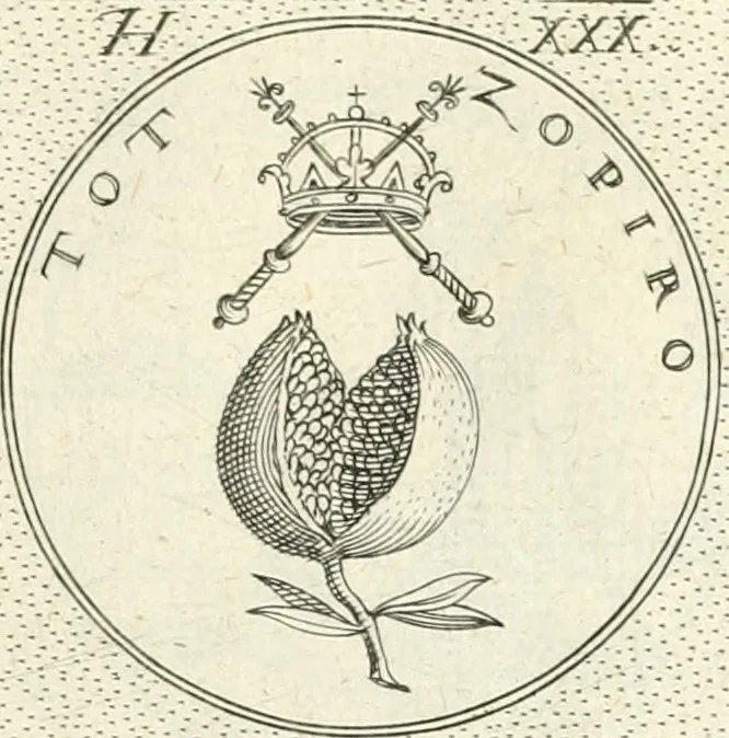 An illustration from Symbola diuina & humana pontificvm, imperatorvm, regvm : accessit breuis & facilis isagoge Iac. Typotii : ex mvsaeo Octavii de Strada civis Romani : tomus primus[-tertius], 1601, leaf 74
