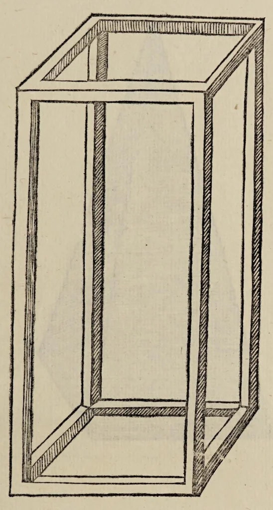 An illustration from Diuina proportione : opera a tutti glingegni perspicaci e curiosi necessaria oue ciascun studioso di philosophia, prospectiua, pictura sculpura, architectura, musica, e altre mathematice, suauissima, sottile, e admirabile doctrina consequira e de lectarasso co[n] varie questione de secretissima scientia, 1509, leaf 285