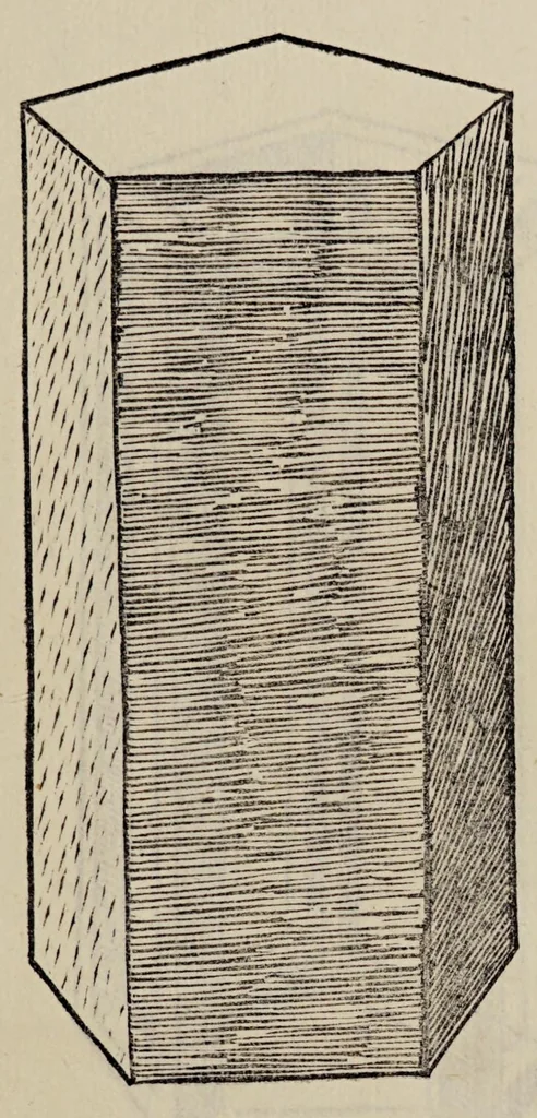 An illustration from Diuina proportione : opera a tutti glingegni perspicaci e curiosi necessaria oue ciascun studioso di philosophia, prospectiua, pictura sculpura, architectura, musica, e altre mathematice, suauissima, sottile, e admirabile doctrina consequira e de lectarasso co[n] varie questione de secretissima scientia, 1509, leaf 291