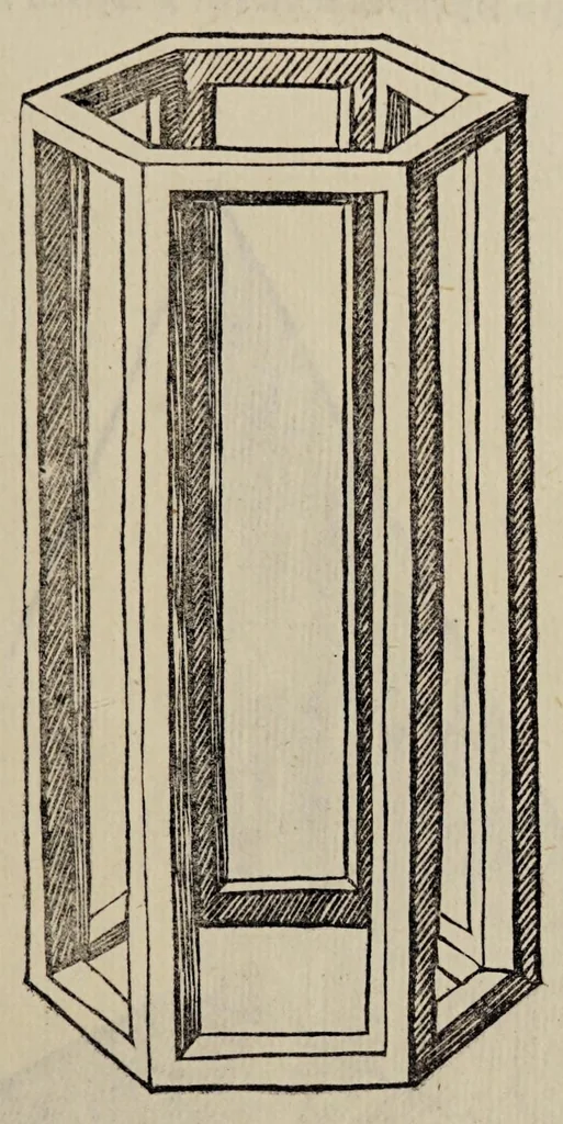 An illustration from Diuina proportione : opera a tutti glingegni perspicaci e curiosi necessaria oue ciascun studioso di philosophia, prospectiua, pictura sculpura, architectura, musica, e altre mathematice, suauissima, sottile, e admirabile doctrina consequira e de lectarasso co[n] varie questione de secretissima scientia, 1509, leaf 301