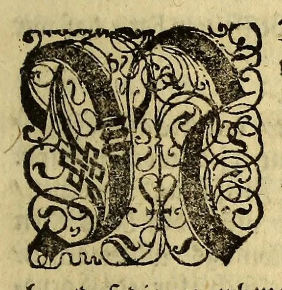 An illustration from Diurnal der nassawischen Flotta, : oder Tagregister, vnd historische, ordentliche Beschreibung einer gewaltigen mächtigen Schiffahrt, vmb die gantze Erdkugel rund vmbhr. Von den hochmögenden Herren Staden angestellet, vnd durch die Abgeordneten glücklich vollbracht, in den 1623. 1624. 1625. 1626. vnd 1627. Jahren verrichtet. ..., 1629, leaf 19