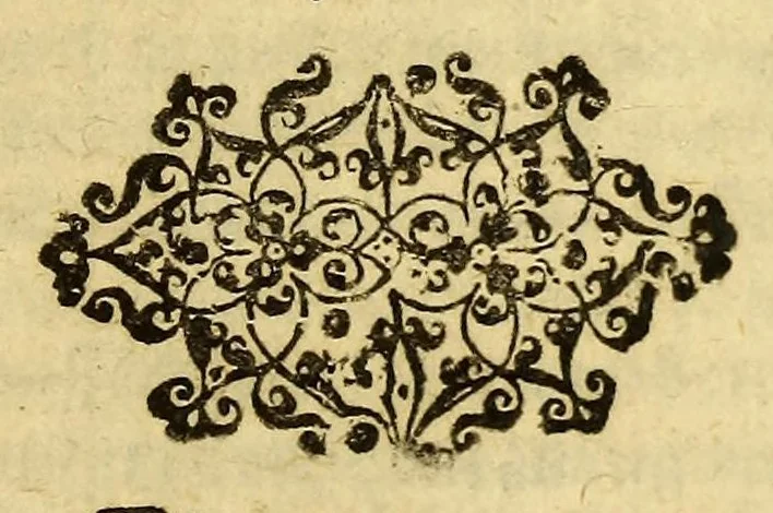 An illustration from Diurnal der nassawischen Flotta, : oder Tagregister, vnd historische, ordentliche Beschreibung einer gewaltigen mächtigen Schiffahrt, vmb die gantze Erdkugel rund vmbhr. Von den hochmögenden Herren Staden angestellet, vnd durch die Abgeordneten glücklich vollbracht, in den 1623. 1624. 1625. 1626. vnd 1627. Jahren verrichtet. ..., 1629, leaf 9