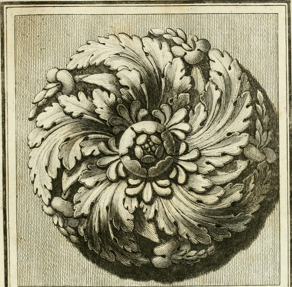 An illustration from Manuale di varj ornamenti tratti dalle fabbriche, e frammenti antichi : per uso, e commodo de' pittori, scultori, architetti, scarpellini, stuccatori, intagliatori di pietre, e legni, argentieri, giojellieri, ricamatori, ebanisti & c., 1781, leaf 12