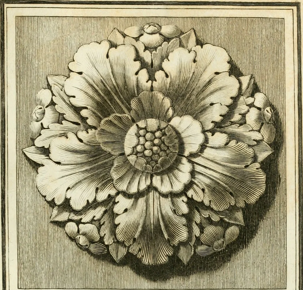 An illustration from Manuale di varj ornamenti tratti dalle fabbriche, e frammenti antichi : per uso, e commodo de' pittori, scultori, architetti, scarpellini, stuccatori, intagliatori di pietre, e legni, argentieri, giojellieri, ricamatori, ebanisti & c., 1781, leaf 14