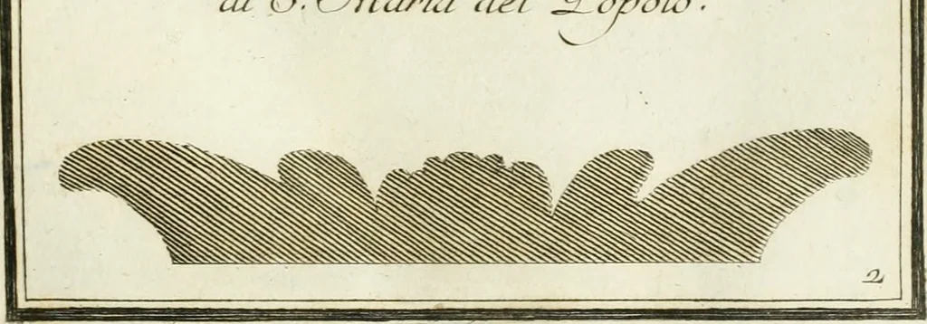 An illustration from Manuale di varj ornamenti tratti dalle fabbriche, e frammenti antichi : per uso, e commodo de' pittori, scultori, architetti, scarpellini, stuccatori, intagliatori di pietre, e legni, argentieri, giojellieri, ricamatori, ebanisti & c., 1781, leaf 14