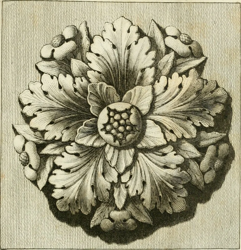 An illustration from Manuale di varj ornamenti tratti dalle fabbriche, e frammenti antichi : per uso, e commodo de' pittori, scultori, architetti, scarpellini, stuccatori, intagliatori di pietre, e legni, argentieri, giojellieri, ricamatori, ebanisti & c., 1781, leaf 16