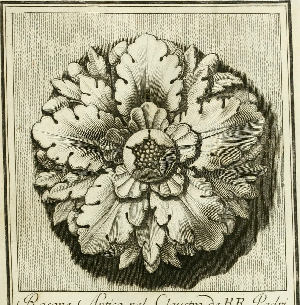 An illustration from Manuale di varj ornamenti tratti dalle fabbriche, e frammenti antichi : per uso, e commodo de' pittori, scultori, architetti, scarpellini, stuccatori, intagliatori di pietre, e legni, argentieri, giojellieri, ricamatori, ebanisti & c., 1781, leaf 18
