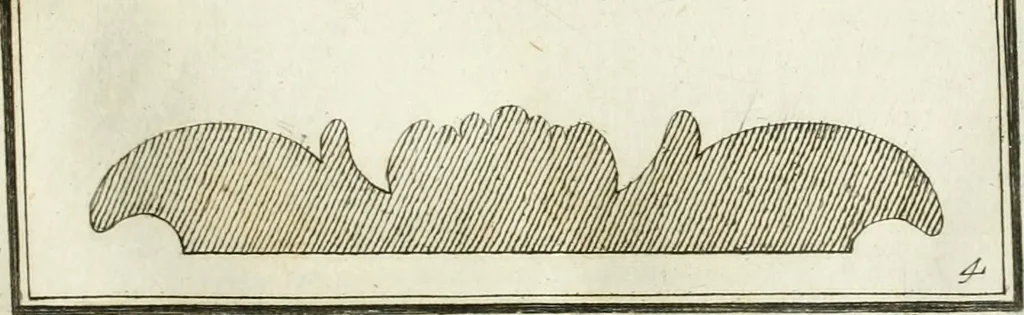 An illustration from Manuale di varj ornamenti tratti dalle fabbriche, e frammenti antichi : per uso, e commodo de' pittori, scultori, architetti, scarpellini, stuccatori, intagliatori di pietre, e legni, argentieri, giojellieri, ricamatori, ebanisti & c., 1781, leaf 18