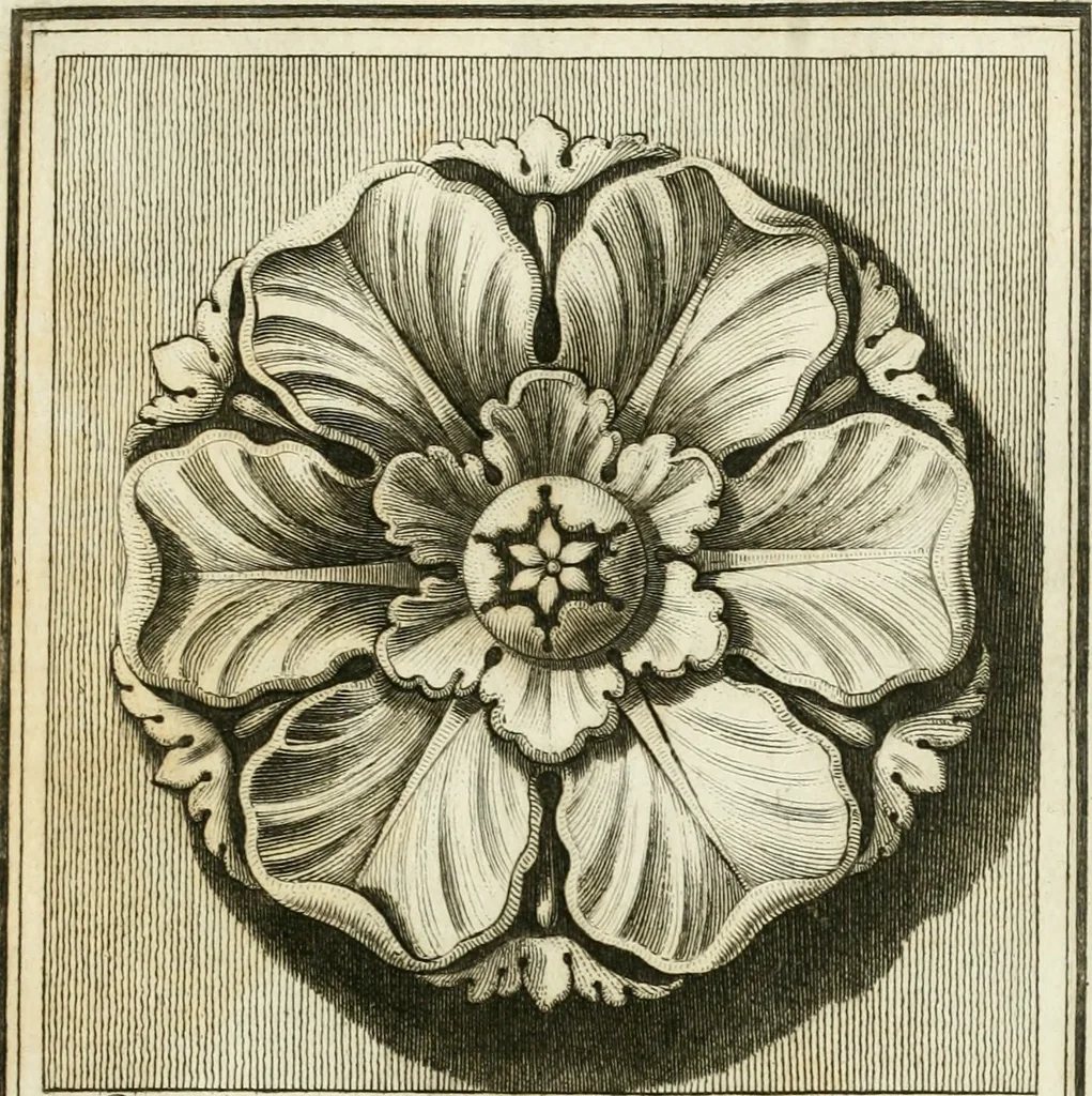 An illustration from Manuale di varj ornamenti tratti dalle fabbriche, e frammenti antichi : per uso, e commodo de' pittori, scultori, architetti, scarpellini, stuccatori, intagliatori di pietre, e legni, argentieri, giojellieri, ricamatori, ebanisti & c., 1781, leaf 20