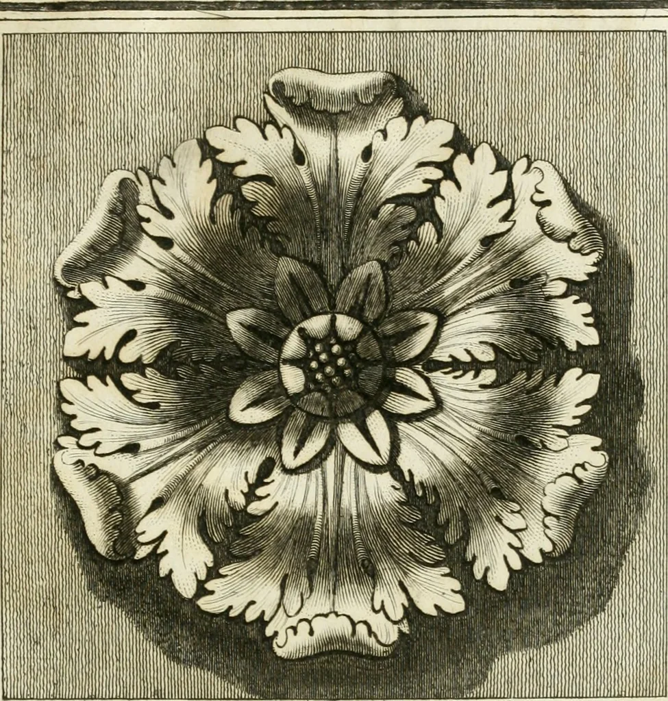 An illustration from Manuale di varj ornamenti tratti dalle fabbriche, e frammenti antichi : per uso, e commodo de' pittori, scultori, architetti, scarpellini, stuccatori, intagliatori di pietre, e legni, argentieri, giojellieri, ricamatori, ebanisti & c., 1781, leaf 22